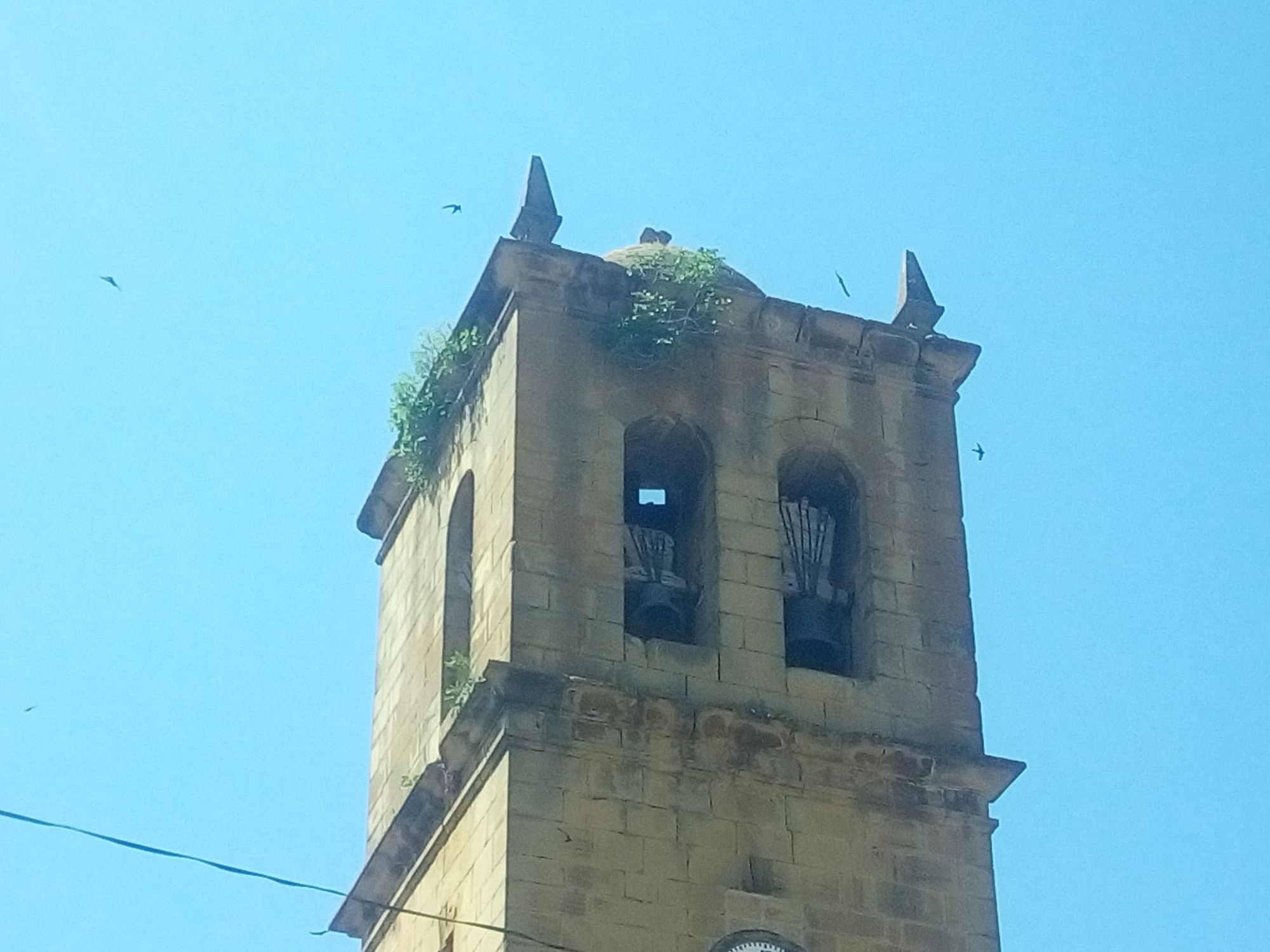 Starý, veľmi starý kostol, hore vo veži rástla tráva a hniezdili lastovičky.